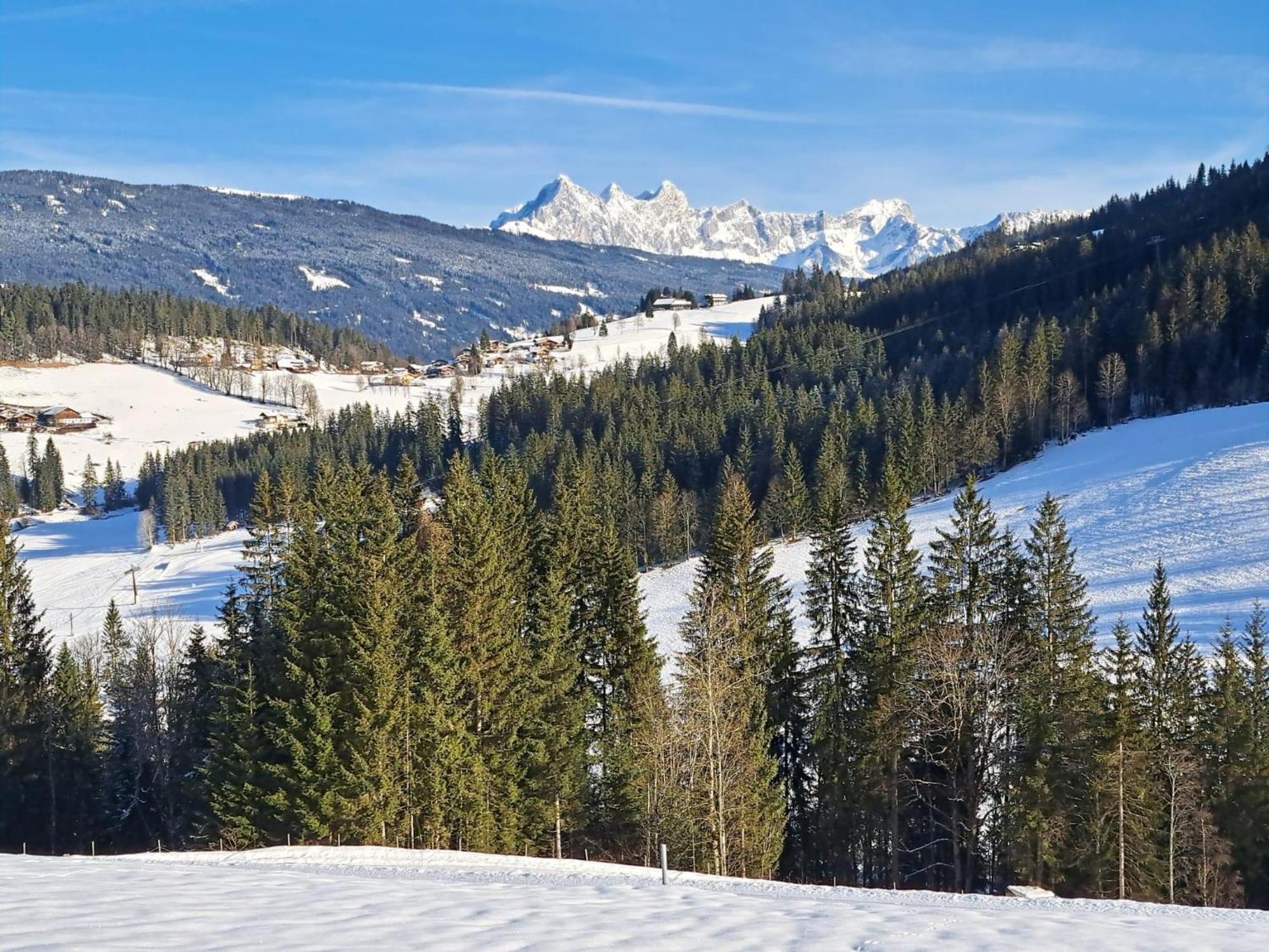 Luxus-Apartment-Vorderreit Gut Altenmarkt im Pongau Dış mekan fotoğraf